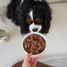 PAKA ZWIERZAKA PEPE Venison mono - wet dog food - 400g