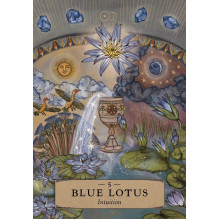 The Herbal Astrology Pocket Oracle Taro kortos Hay House The Herbal Astrology Pocket Oracle Taro kortos Hay House