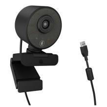 IcyBox Full-HD webcam with microphone