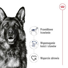 ROYAL CANIN Maxi Loaf - wet dog food - 410g ROYAL CANIN Maxi Loaf - wet dog food - 410g