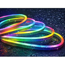 RGB Neon LED strip (5m) + Bluetooth remote control + APP RGB Neon LED strip (5m) + Bluetooth remote control + APP
