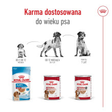 ROYAL CANIN Medium Ageing Loaf - wet dog food - 410g ROYAL CANIN Medium Ageing Loaf - wet dog food - 410g
