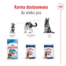 ROYAL CANIN Maxi Ageing Loaf - šlapias šunų ėdalas - 410 g ROYAL CANIN Maxi Ageing Loaf - šlapias šunų ėdalas - 410 g