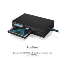 Icy Box IB-CR401-C3 (anthrazit)