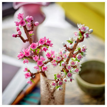 LEGO Botanicals Cherry Blossoms