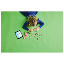LEGO Creator Wild Animals: Pink Flamingo
