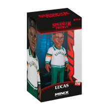 MINIX STRANGER DALYKAI - LUCAS