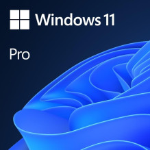 MS Windows 11 Pro 64 bitų 1...