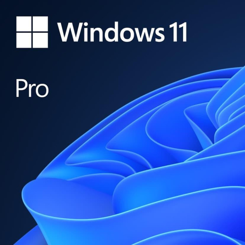 MS Windows 11 Pro 64-Bit 1PK IT