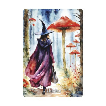 Orakulo kortų kaladė - Llewellyn Witch Whispers Oracle Cards, 40 kortelių, knyga anglų kalba Orakulo kortų kaladė - Llewellyn Witch Whispers Oracle Cards, 40 kortelių, knyga anglų kalba