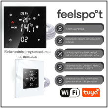 Elektroninis programuojamas...