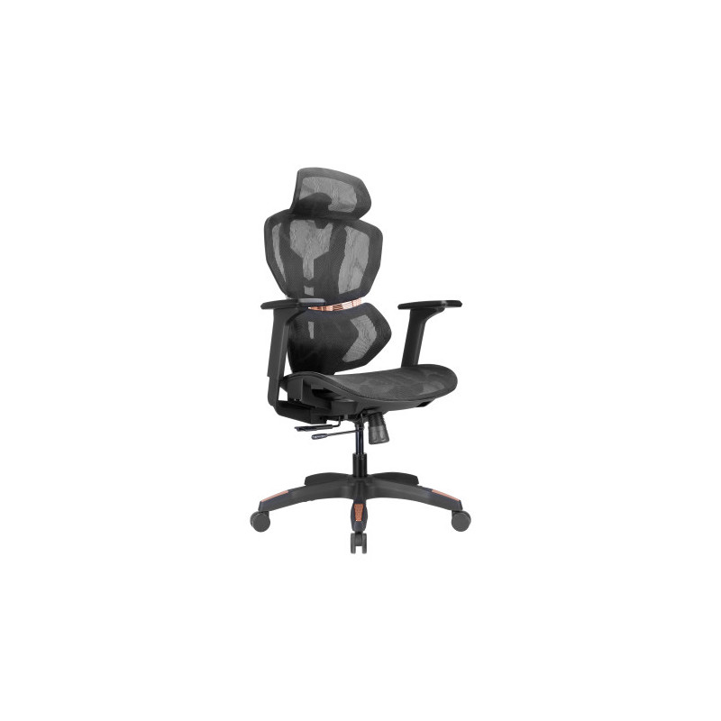 PREMIUM chair with head and lumbar support and adjustable armrests