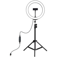 LED žiedinė lempa 26cm, su...