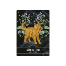 Orakulinių kortų kaladė - Hay House The Familiar Magic Pocket Oracle Cards, 44 kortelės, 10 × 7,5 × 3,5 cm