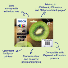 Epson C13T02G14010...