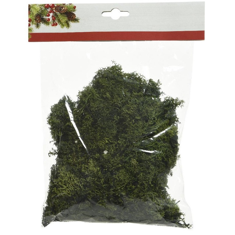 Dekoratyvinės samanos, 50g