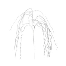 Artificial branch Decoris...