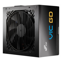 Fortron VIC-650GD