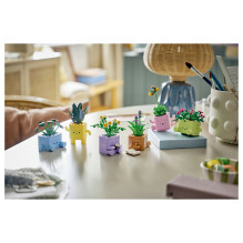 LEGO Botanicals Happy Plants LEGO Botanicals Happy Plants