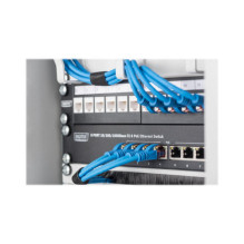 Sienas skapis Digitus 10" 9U (DN-10-09U)