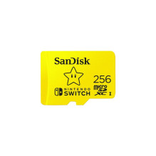 Atminties kortelė - SanDisk...