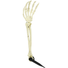 DEKORACIJA SODO SKELETAS 3 DALIŲ DEKORACIJA SODO SKELETAS 3 DALIŲ