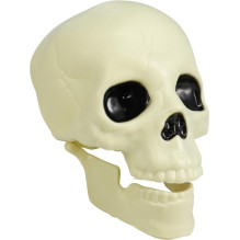 DEKORACIJA SODO SKELETAS 3 DALIŲ DEKORACIJA SODO SKELETAS 3 DALIŲ