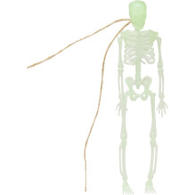 GARLAND SKELETONS PHOSPHORESCENT 152CM