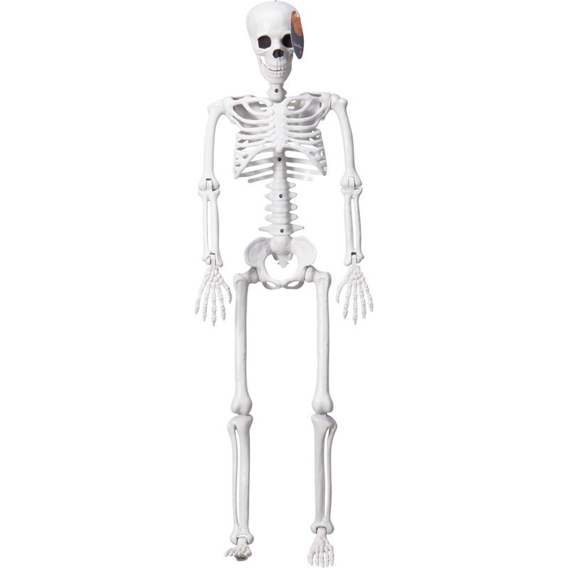 DEKORACIJA SKELETAS H90CM