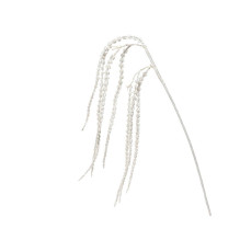 Artificial branch Decoris,...