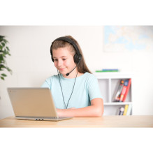 USB Hi-Fi ausinės