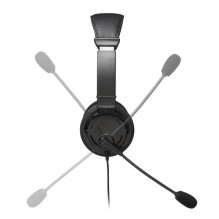 USB Hi-Fi ausinės