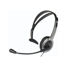 Panasonic RP-TCA430E-S headphones / headset