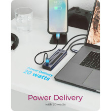 ICY BOX IB-HUB1450-C31 10 x USB TYPE-C Gen 2 ICY BOX IB-HUB1450-C31 10 x USB TYPE-C Gen 2