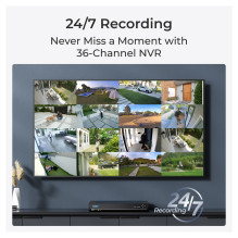 Reolink NVS36