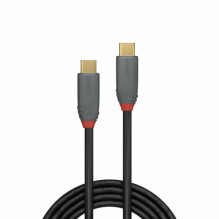LINDY USB 3.2 Cable Type C / C 5A PD Anthra Line M / M 2m
