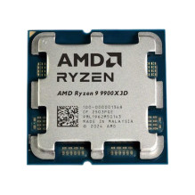 AMD Ryzen 9 9900X3D procesoriaus lustų plokštelė