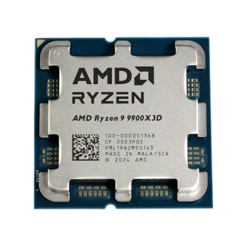 AMD Ryzen 9 9900X3D procesoriaus lustų plokštelė