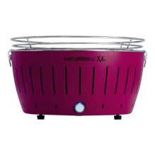 Charcoal barbecue -...