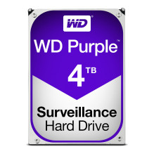 Western Digital Violetinis...