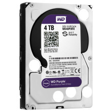 Western Digital Violetinis vidinis kietasis diskas