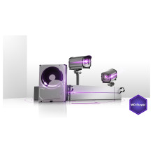 Western Digital Violetinis vidinis kietasis diskas