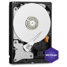 Western Digital Violetinis vidinis kietasis diskas