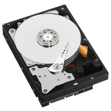 Western Digital Violetinis vidinis kietasis diskas