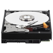 Western Digital Violetinis vidinis kietasis diskas