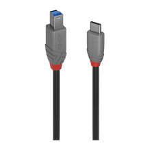 LINDY USB 3.2 Kabel Typ C /...