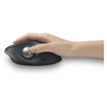 Kensington Pro Fit Ergo TB550 mouse