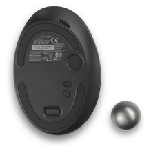 Kensington Pro Fit Ergo TB550 mouse