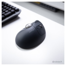 Kensington Pro Fit Ergo TB550 mouse