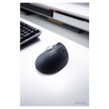 Kensington Pro Fit Ergo TB550 mouse